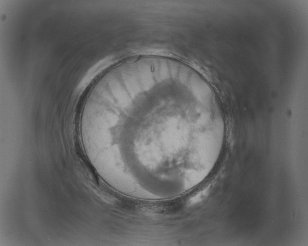 X0000081370199200702020213