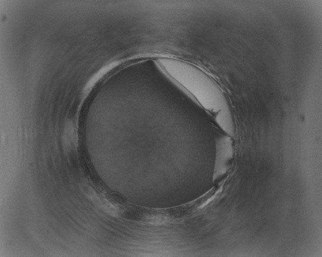 X0000081370200200702020213