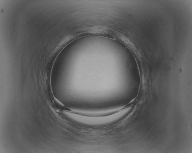 X0000081370201200702020213