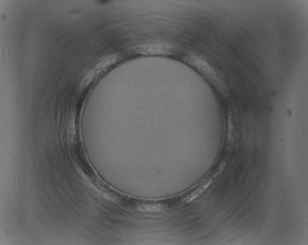 X0000081370202200702020213