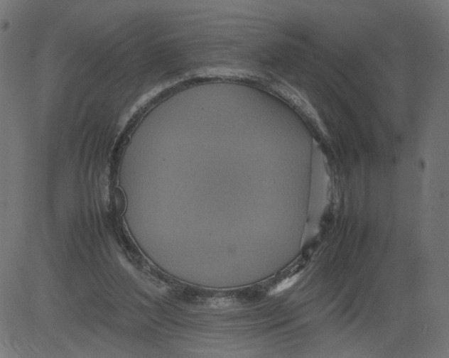 X0000081370204200702020213