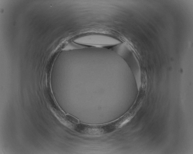 X0000081370205200702020213