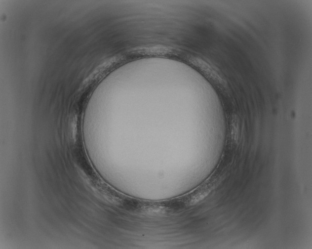 X0000081370206200702020213