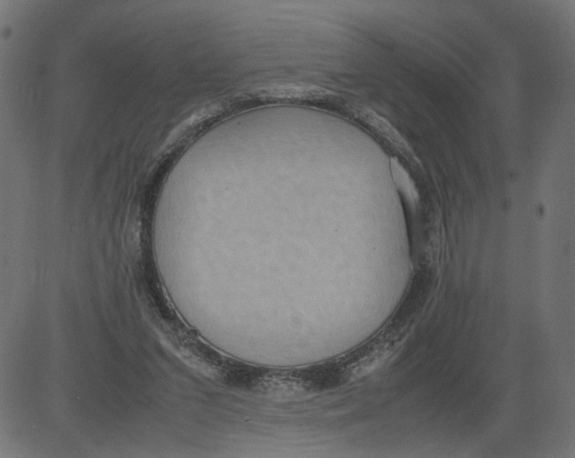 X0000081370207200702020213