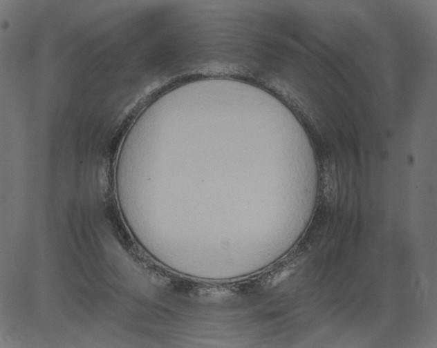 X0000081370208200702020213