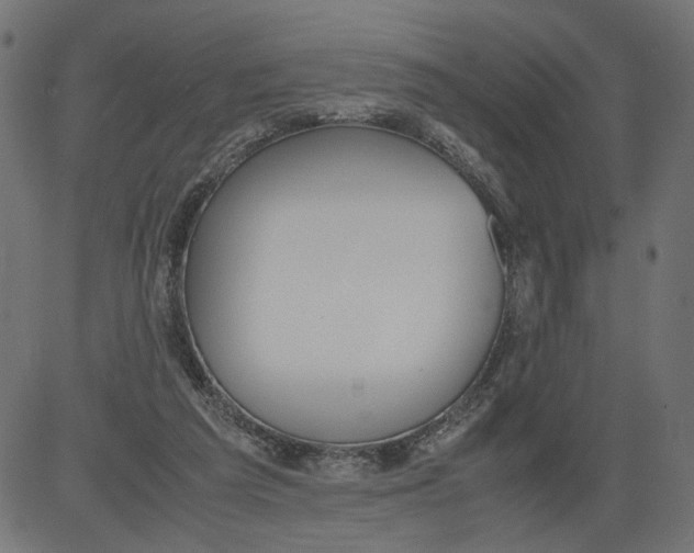 X0000081370209200702020213