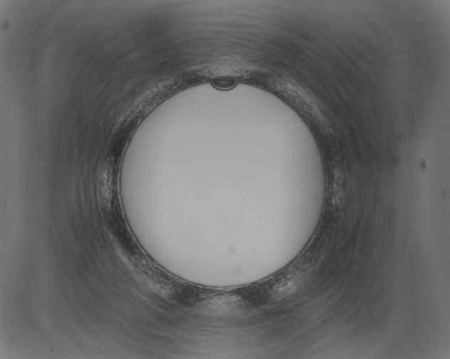 X0000081370210200702020213