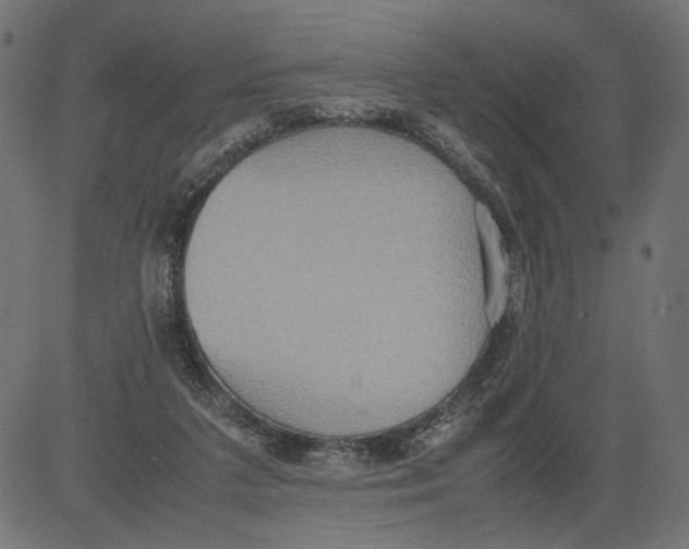 X0000081370211200702020213