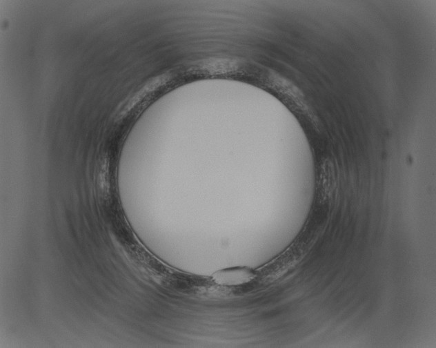 X0000081370212200702020213