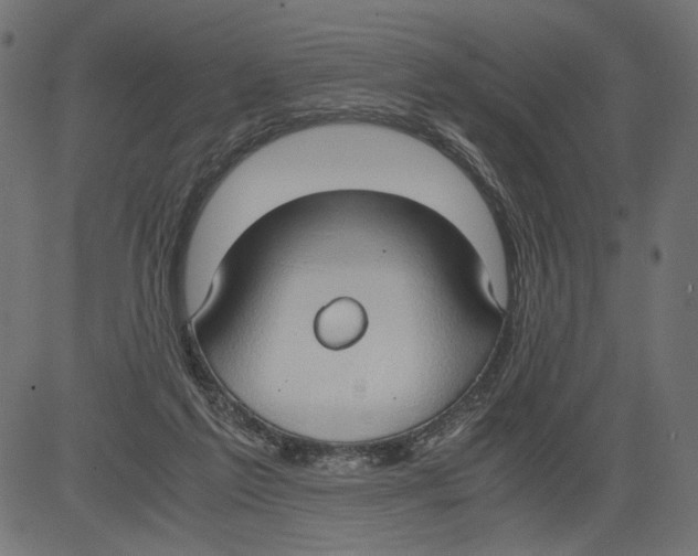 X0000081370213200702020213