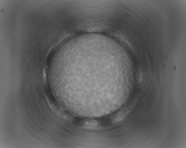 X0000081370214200702020213