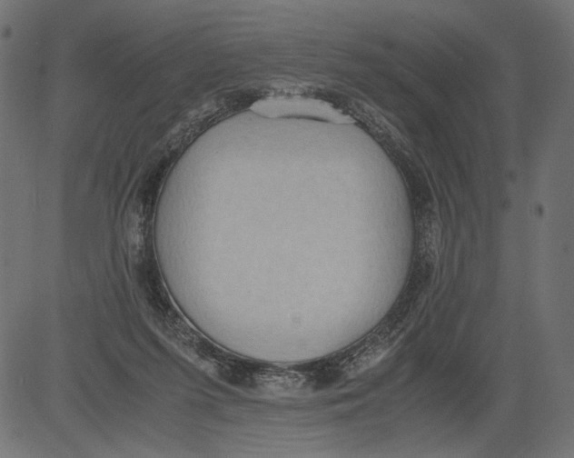 X0000081370215200702020213