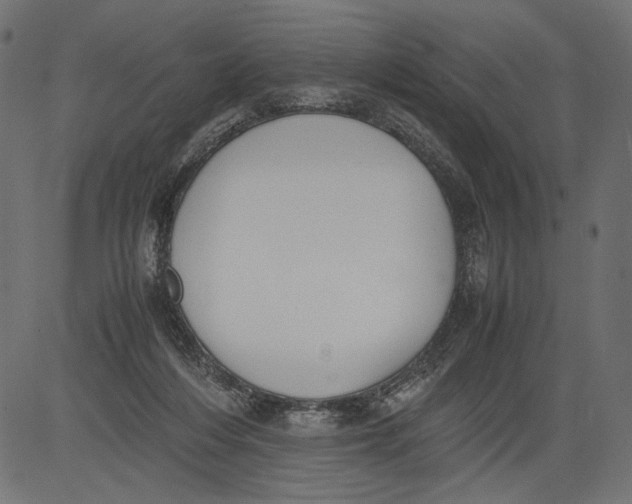 X0000081370216200702020213