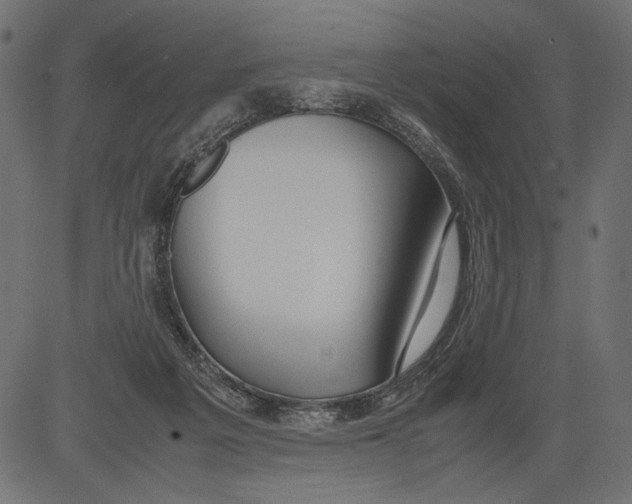 X0000081370217200702020213