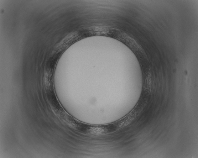 X0000081370218200702020213