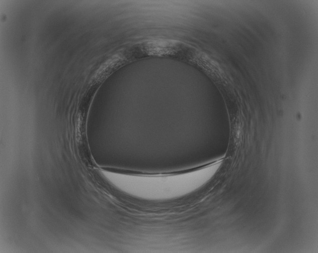 X0000081370219200702020213