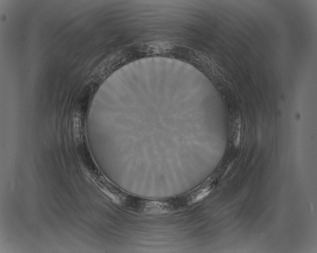 X0000081370222200702020213