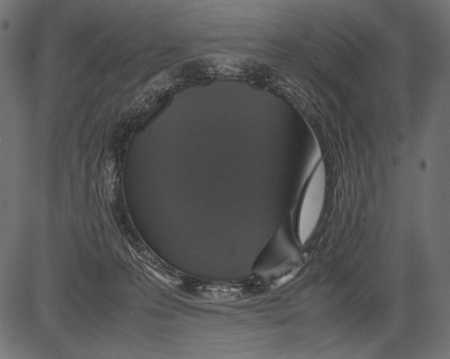 X0000081370223200702020213