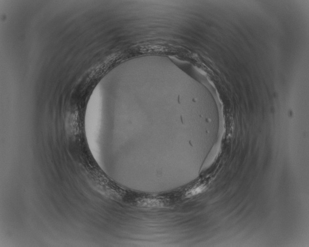 X0000081370224200702020213