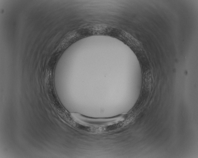 X0000081370225200702020213