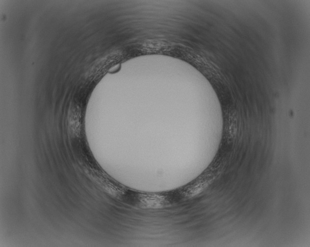 X0000081370226200702020213