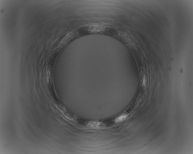 X0000081370227200702020213