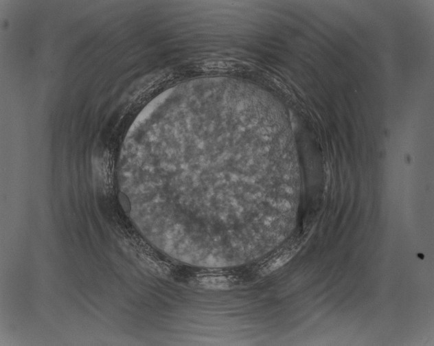 X0000081370228200702020213