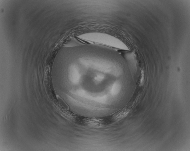 X0000081370229200702020213