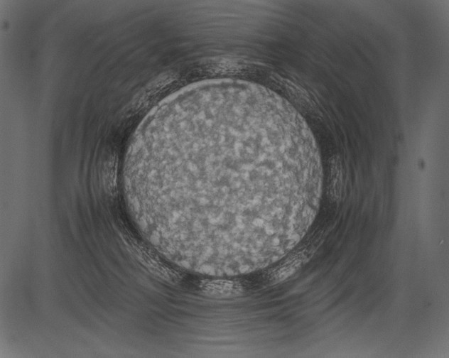 X0000081370230200702020213