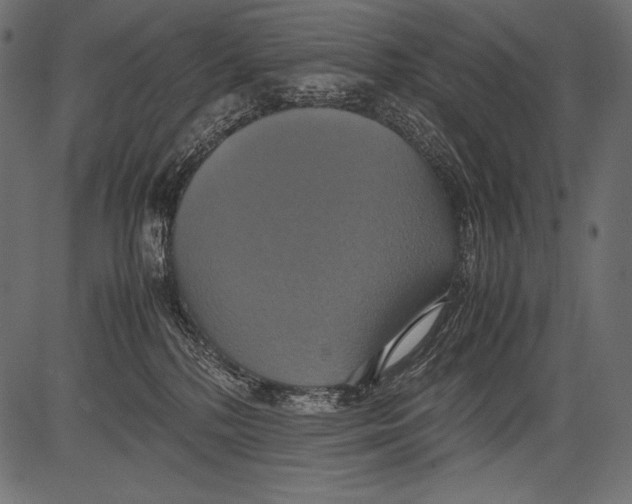 X0000081370232200702020213