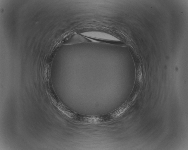 X0000081370233200702020213