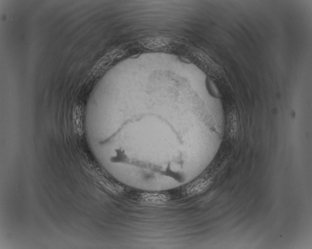 X0000081370234200702020213