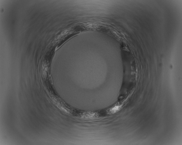 X0000081370235200702020213