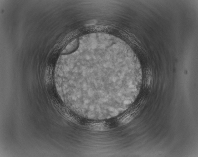 X0000081370236200702020213