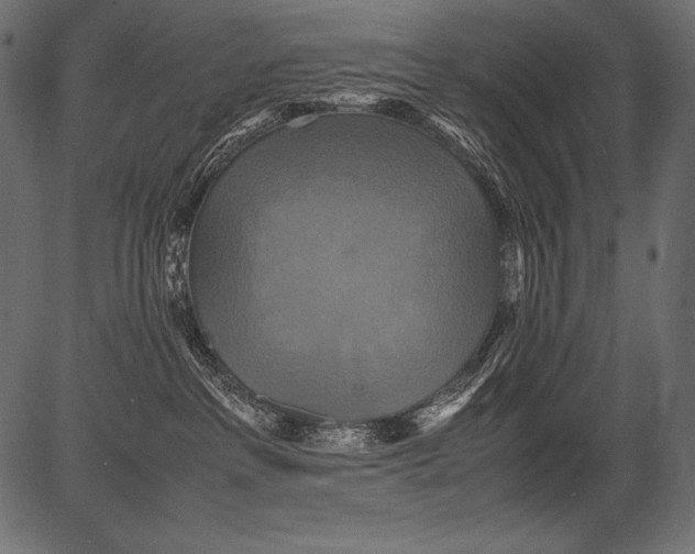 X0000081370237200702020213