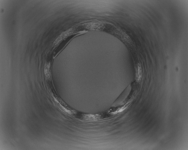 X0000081370239200702020213