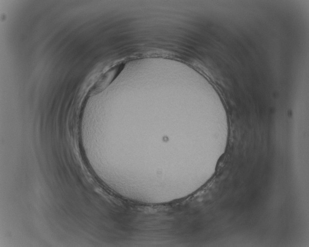 X0000081370241200702020212