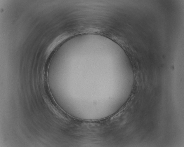 X0000081370242200702020212