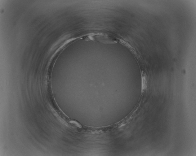 X0000081370243200702020212