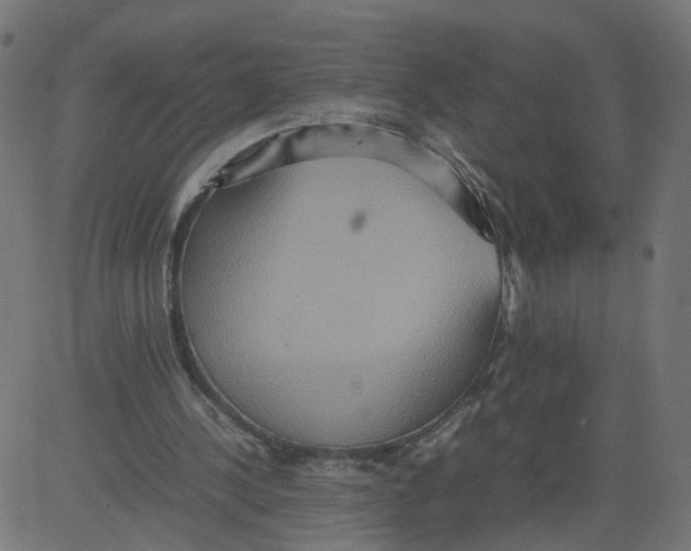 X0000081370244200702020212