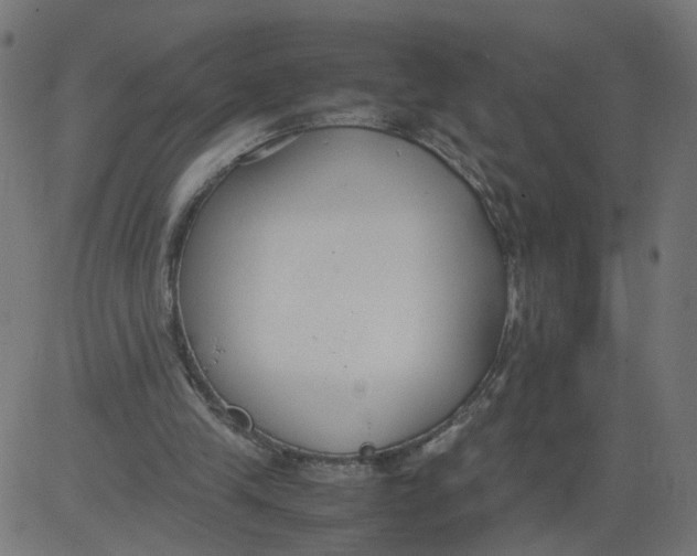 X0000081370245200702020212