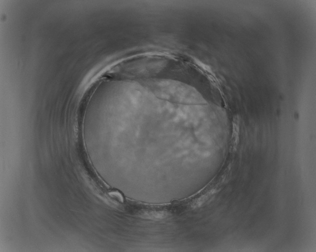 X0000081370247200702020212