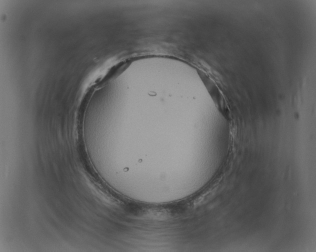 X0000081370248200702020212