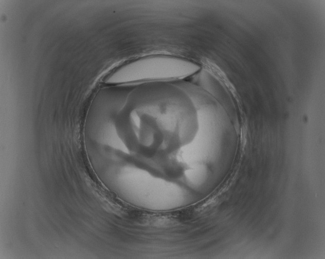 X0000081370249200702020212