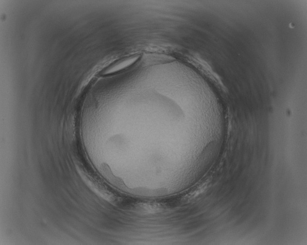 X0000081370250200702020212