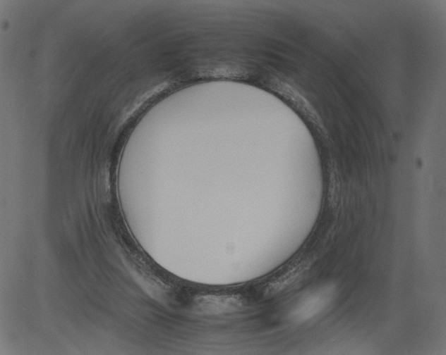 X0000081370251200702020212