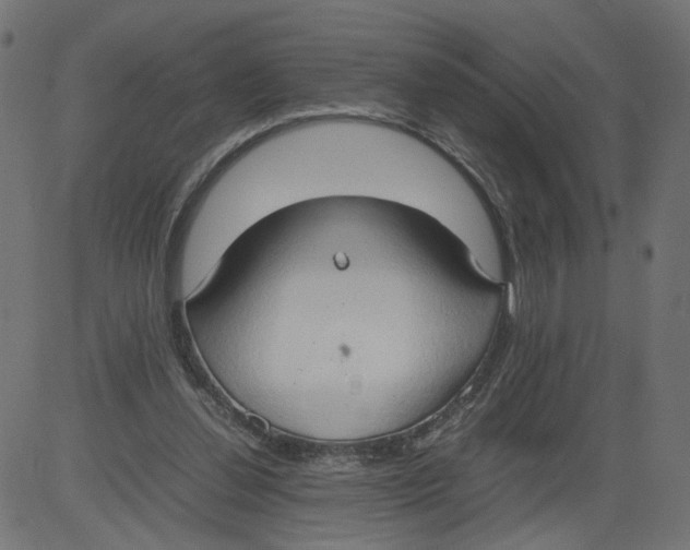 X0000081370252200702020212