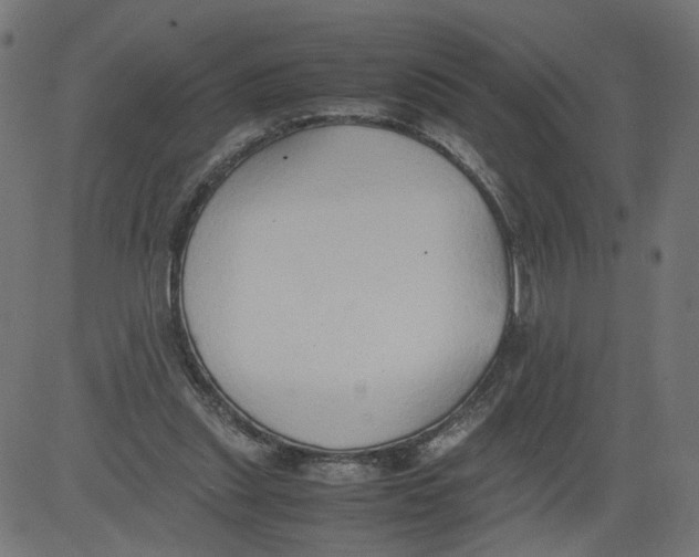 X0000081370253200702020212