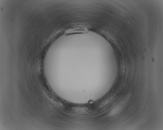 X0000081370255200702020212