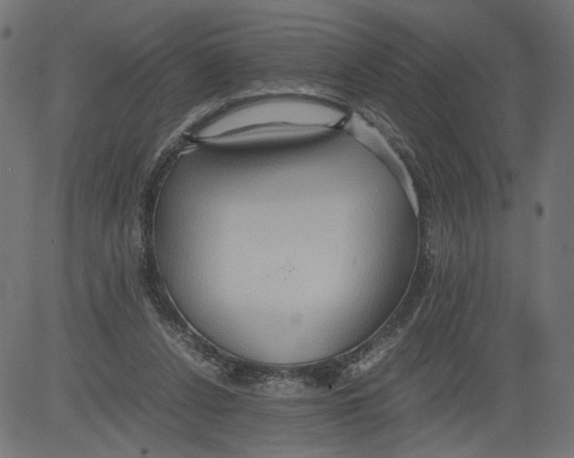 X0000081370256200702020212